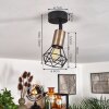 Baripada Plafondlamp Messing, Zwart, 1-licht