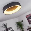 Pine Plafondlamp LED Zwart, 1-licht