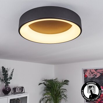 Pine Plafondlamp LED Zwart, 1-licht