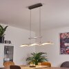 Bolonda Hanglamp LED Nikkel mat, 3-lichts