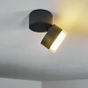 Papagayos Buitenshuis plafond verlichting LED Antraciet, Wit, 1-licht, Kleurwisselaar