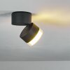 Papagayos Buitenshuis plafond verlichting LED Antraciet, Wit, 1-licht, Kleurwisselaar