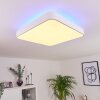 Batamoto Plafondpaneel LED Wit, 2-lichts, Afstandsbediening, Kleurwisselaar