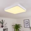 Batamoto Plafondpaneel LED Wit, 2-lichts, Afstandsbediening, Kleurwisselaar