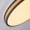 Kirtland Plafondpaneel LED Goud, Zwart, 1-licht