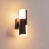 Baulund Buiten muurverlichting LED Zwart, 1-licht