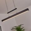 Ifo Hanglamp LED Zwart, 1-licht