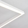 Pourao Plafondlamp LED Wit, 1-licht