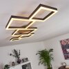 Pourao Plafondlamp LED Zwart, Wit, 1-licht, Afstandsbediening