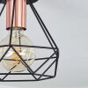 Denno Plafondlamp Koperkleurig, Zwart, 1-licht