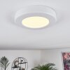 Canditas Plafondlamp LED Wit, 1-licht