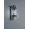 Trio Sambesi Buiten muurverlichting Antraciet, 1-licht, Bewegingsmelder