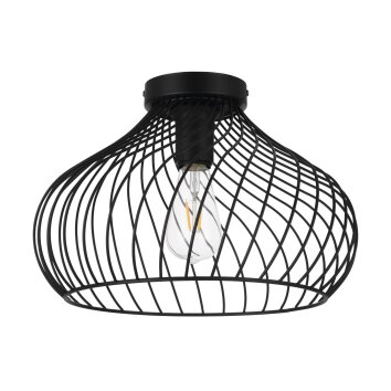 Eglo STAVERTON Plafondlamp Zwart, 1-licht