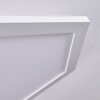 Fanebal Plafondpaneel LED Wit, 1-licht