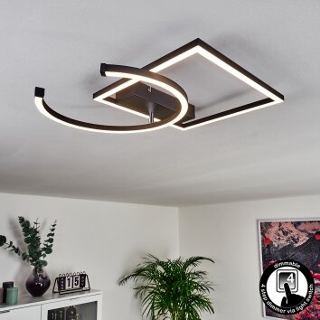 Frederick Plafondlamp LED Zwart, Wit, 1-licht