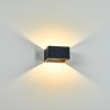Tématou Buiten muurverlichting LED Zwart, 1-licht