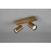 Trio Marley Plafondlamp Oud messing, 2-lichts