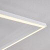 Moya Plafondlamp LED Wit, 1-licht