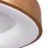 Steinhauer Ringlede Plafondlamp Goud, Wit, 1-licht