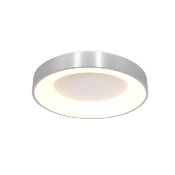Steinhauer Ringlede Plafondlamp Zwart, 1-licht