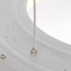 Steinhauer Ringlede Hanglamp Zwart, 1-licht