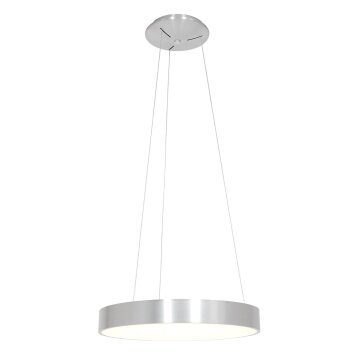 Steinhauer Ringlede Hanglamp Zwart, 1-licht