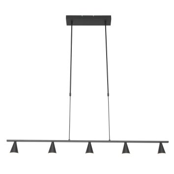 Steinhauer Vortex Hanglamp Zwart, 5-lichts