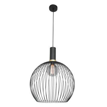 Steinhauer Aureole Hanglamp Zwart, 1-licht