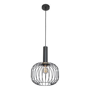Steinhauer Aureole Hanglamp Zwart, 1-licht