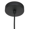Steinhauer Nimbus Hanglamp Zwart, 1-licht