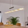 Hogana Hanglamp LED Nikkel mat, 1-licht
