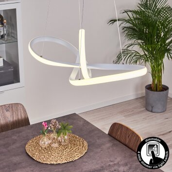Pitasch Hanger LED Wit, 1-licht