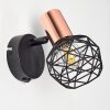 Palmira Muurlamp Koperkleurig, Zwart, 1-licht