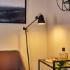 Peny Staande lamp Zwart, 1-licht