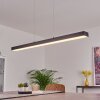 Seaton Hanglamp LED Zwart, 1-licht