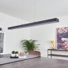 Seaton Hanglamp LED Zwart, 1-licht