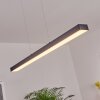 Seaton Hanglamp LED Zwart, 1-licht