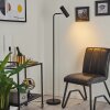 Zuoz Staande lamp Chroom, Zwart, 1-licht