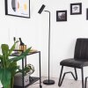 Zuoz Staande lamp Chroom, Zwart, 1-licht