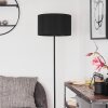 Huarate Staande lamp Zwart, 1-licht