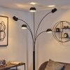 Nikkala Staande lamp Zwart, 5-lichts