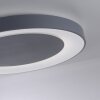 Leuchten Direkt ANIKA Plafondlamp LED Antraciet, 1-licht, Afstandsbediening