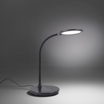 Leuchten Direkt ASTRID Tafellamp LED Zwart, 1-licht