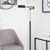 Norrlida Staande lamp LED Chroom, Zwart, 1-licht