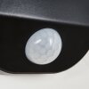 Bondarp Solarlamp LED Zwart, 1-licht, Bewegingsmelder