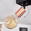 Tulla Plafondlamp Koperkleurig, Zwart, 4-lichts