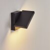 Lyckan Buiten muurverlichting LED Zwart, 1-licht