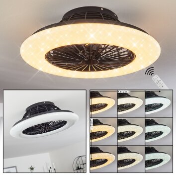 Piraeus plafondventilator LED Zwart, 1-licht, Afstandsbediening
