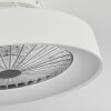 Moli plafondventilator LED Wit, 1-licht, Afstandsbediening