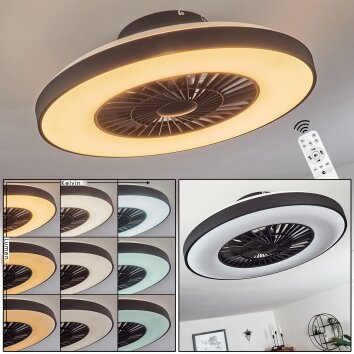 Qualiano plafondventilator LED Zwart, Wit, 1-licht, Afstandsbediening